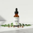 Ecoideas Organic Moringa Seed Oil