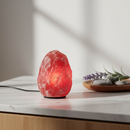 Red 15W Himalayan salt lamp replacement bulb