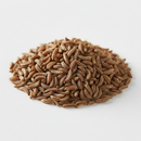 Premium whole caraway seeds on white background