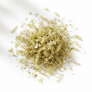Clubmoss Herb Cut & Sifted 100g - Lycopodium Clavatum Botanical | The Herb House