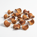 Dried Garcinia Cambogia fruit rind on white background