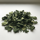 Dried graviola soursop leaves cut and sifted - premium tropical botanical herb