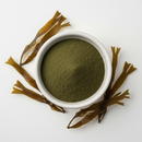 Bladderwrack seaweed powder in a white ceramic bowl with dried fronds on white background