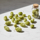 Hops Flower Whole — dried hop cones on white marble surface