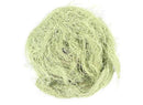 Usnea Herb