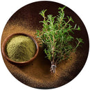 Thyme Leaves Powder