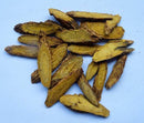 Skullcap Root (Chinese)