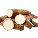 Yucca Root C/S