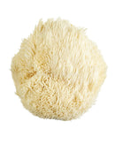 Lion's Mane Mushrooms Whole (Dried)