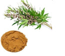 Motherwort Herb Powder