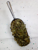 Uva Ursi Leaves C/S