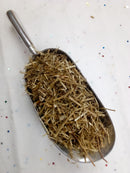 Bhui Amla or Chanca Piedra C/S