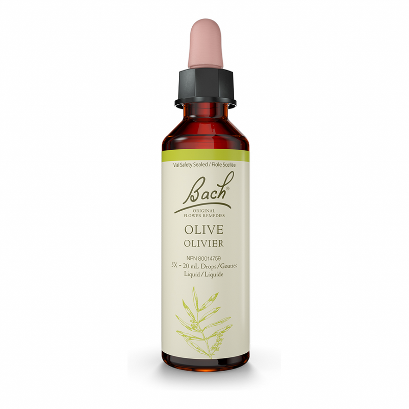 Bach Olive