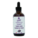 Organic Elderberry Extract